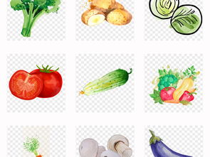 手繪新鮮蔬菜水彩免扣素材 生活與工作的創(chuàng)意利器